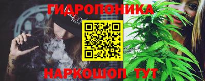 стафф Заводоуковск